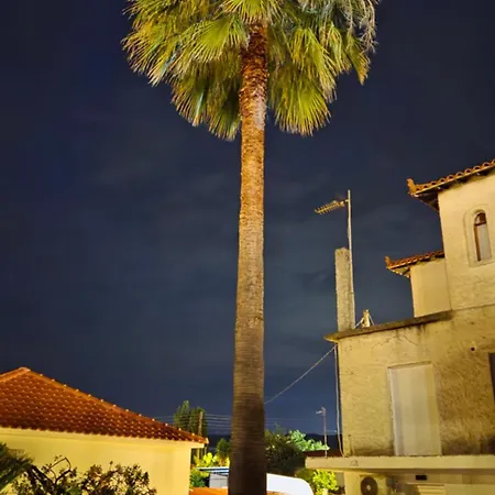 The Palm House Near The Διαμέρισμα Στρατώνι